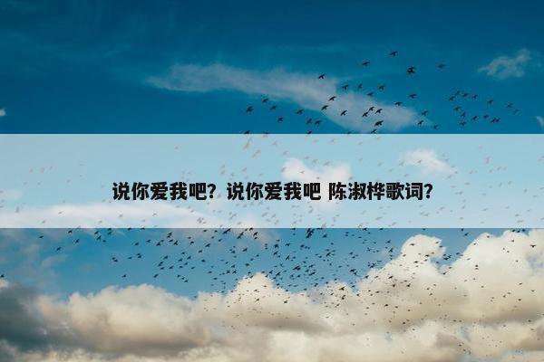 说你爱我吧？说你爱我吧 陈淑桦歌词？