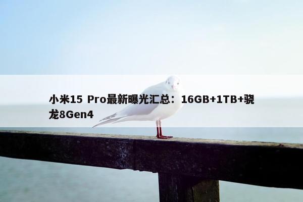 小米15 Pro最新曝光汇总：16GB+1TB+骁龙8Gen4