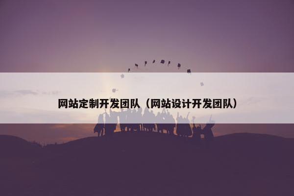 网站定制开发团队（网站设计开发团队）