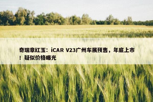 奇瑞章红玉：iCAR V23广州车展预售，年底上市！疑似价格曝光