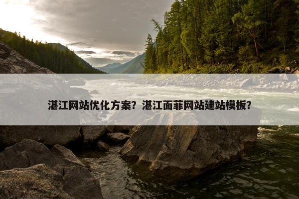 湛江网站优化方案？湛江面菲网站建站模板？