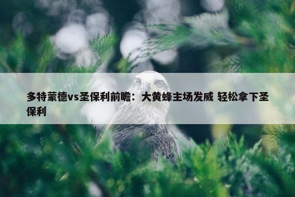 多特蒙德vs圣保利前瞻：大黄蜂主场发威 轻松拿下圣保利