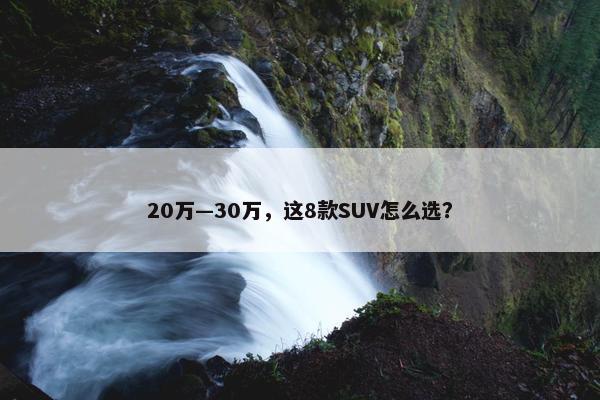 20万—30万，这8款SUV怎么选？