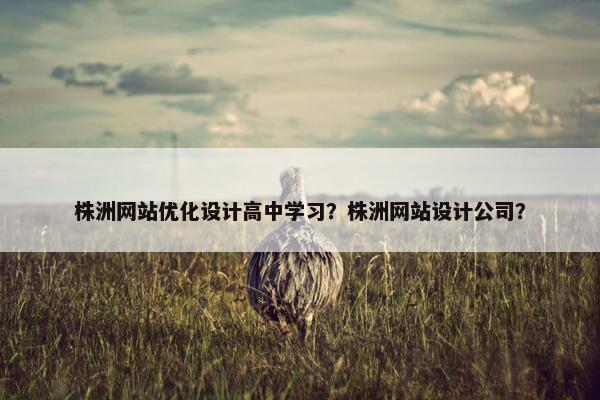 株洲网站优化设计高中学习？株洲网站设计公司？