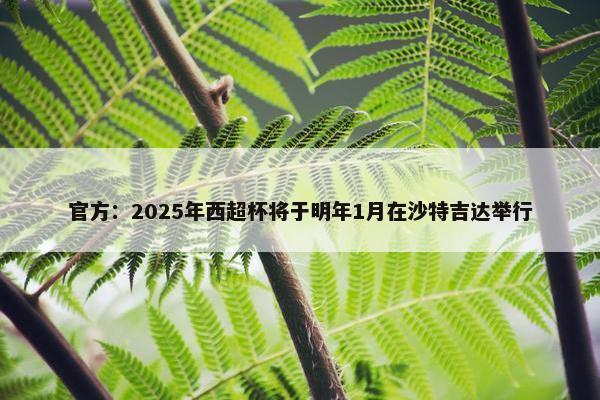 官方：2025年西超杯将于明年1月在沙特吉达举行