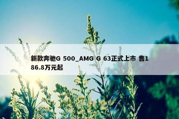 新款奔驰G 500_AMG G 63正式上市 售186.8万元起