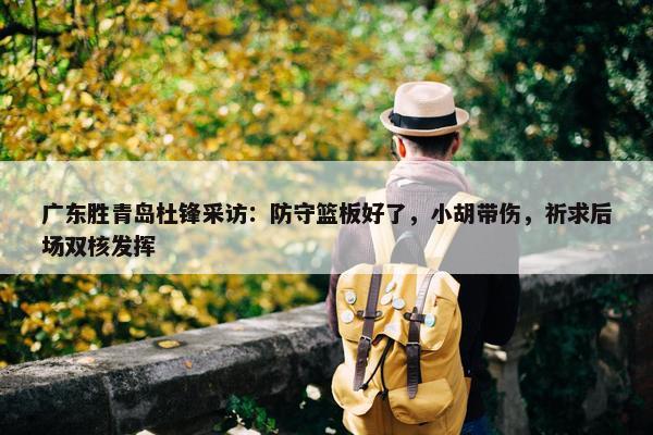 广东胜青岛杜锋采访：防守篮板好了，小胡带伤，祈求后场双核发挥