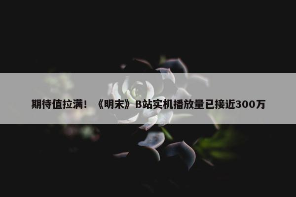 期待值拉满！《明末》B站实机播放量已接近300万