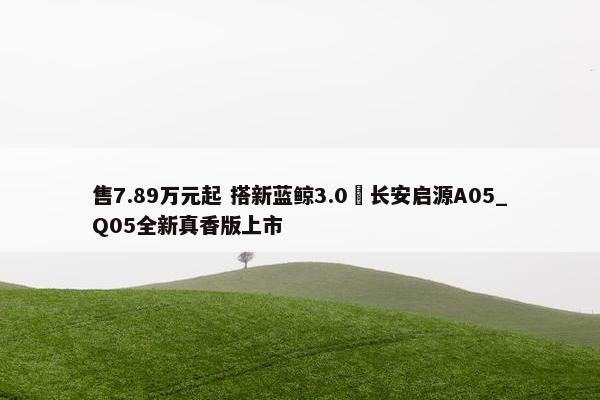 售7.89万元起 搭新蓝鲸3.0 长安启源A05_Q05全新真香版上市