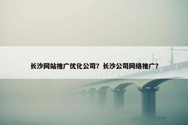 长沙网站推广优化公司？长沙公司网络推广？