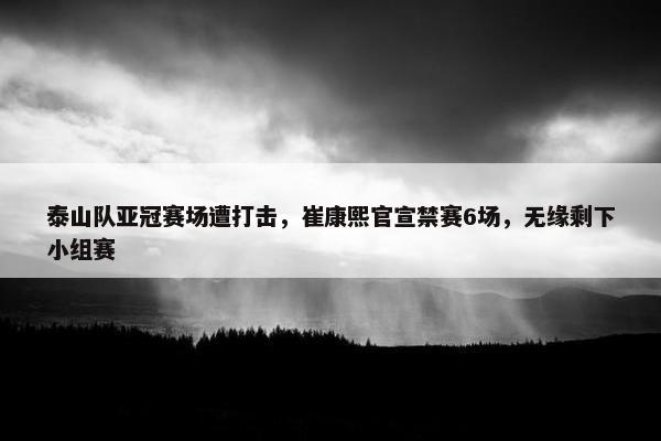 泰山队亚冠赛场遭打击，崔康熙官宣禁赛6场，无缘剩下小组赛