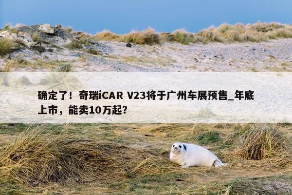 确定了！奇瑞iCAR V23将于广州车展预售_年底上市，能卖10万起？