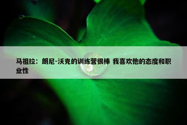 马祖拉：朗尼-沃克的训练营很棒 我喜欢他的态度和职业性