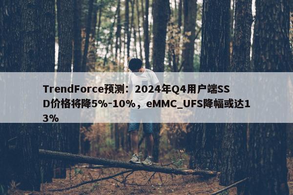 TrendForce预测：2024年Q4用户端SSD价格将降5%-10%，eMMC_UFS降幅或达13%