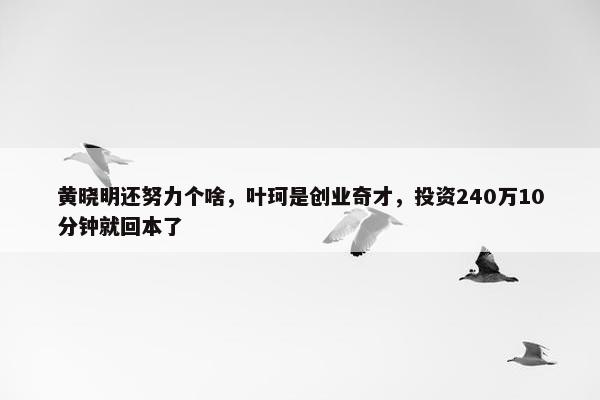 黄晓明还努力个啥，叶珂是创业奇才，投资240万10分钟就回本了