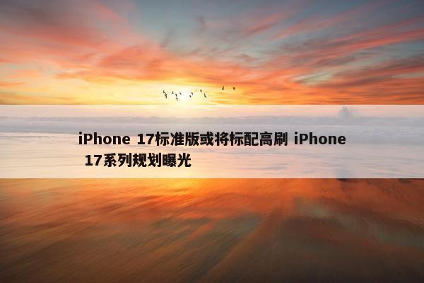 iPhone 17标准版或将标配高刷 iPhone 17系列规划曝光