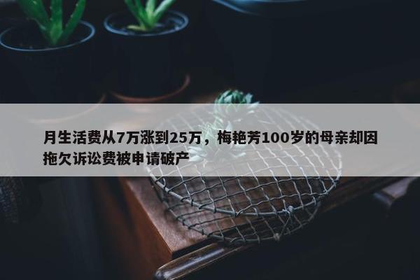 月生活费从7万涨到25万，梅艳芳100岁的母亲却因拖欠诉讼费被申请破产