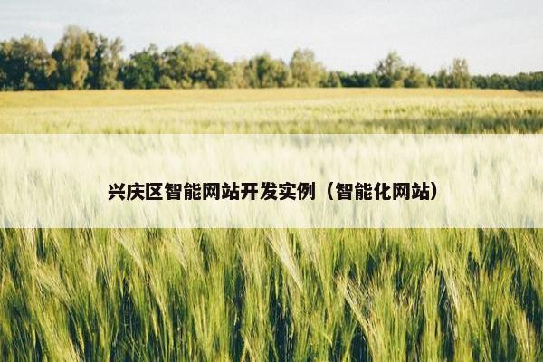 兴庆区智能网站开发实例（智能化网站）