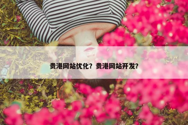 贵港网站优化？贵港网站开发？