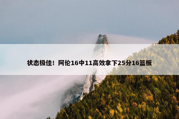 状态极佳！阿伦16中11高效拿下25分16篮板