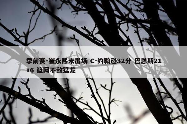 季前赛-崔永熙未出场 C-约翰逊32分 巴恩斯21+6 篮网不敌猛龙