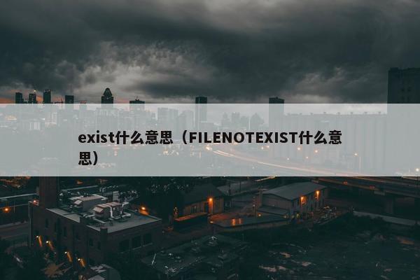 exist什么意思（FILENOTEXIST什么意思）