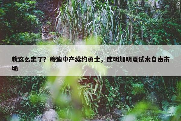 就这么定了？穆迪中产续约勇士，库明加明夏试水自由市场