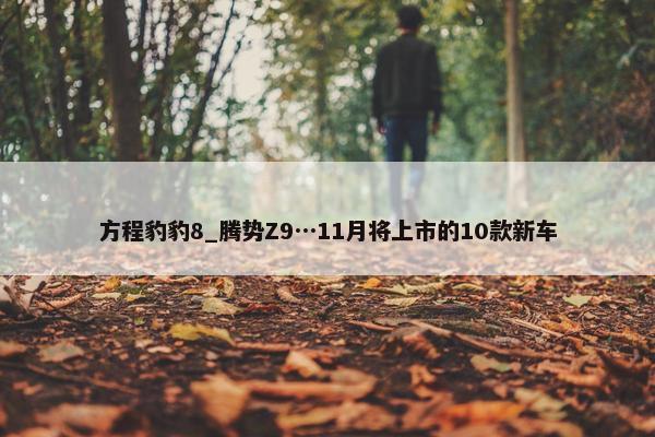 方程豹豹8_腾势Z9…11月将上市的10款新车