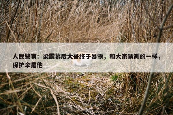 人民警察：梁震幕后大哥终于暴露，和大家猜测的一样，保护伞是他