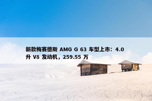 新款梅赛德斯 AMG G 63 车型上市：4.0 升 V8 发动机，259.55 万