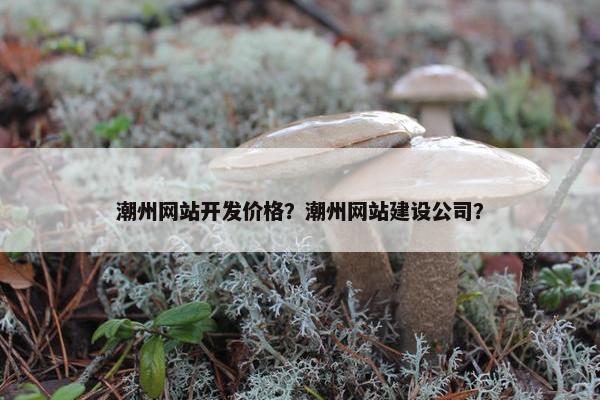 潮州网站开发价格？潮州网站建设公司？