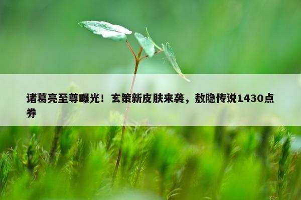 诸葛亮至尊曝光！玄策新皮肤来袭，敖隐传说1430点券