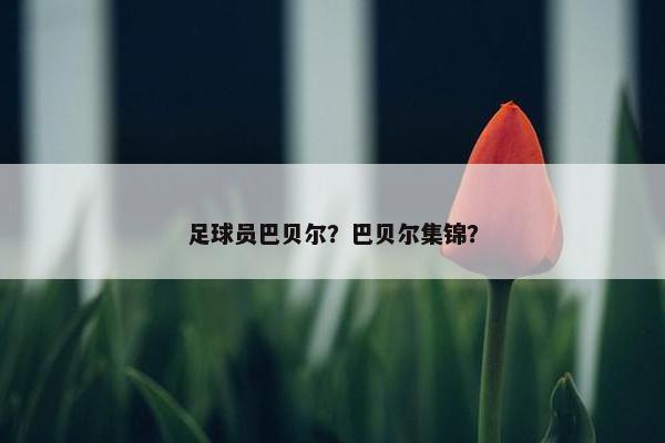 足球员巴贝尔？巴贝尔集锦？