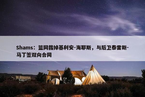 Shams：篮网裁掉基利安-海耶斯，与后卫泰雷斯-马丁签双向合同