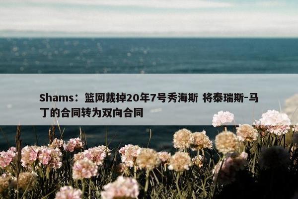 Shams：篮网裁掉20年7号秀海斯 将泰瑞斯-马丁的合同转为双向合同