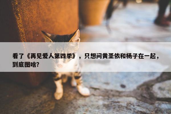 看了《再见爱人第四季》，只想问黄圣依和杨子在一起，到底图啥？