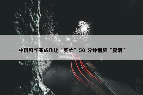 中国科学家成功让“死亡”50 分钟猪脑“复活”