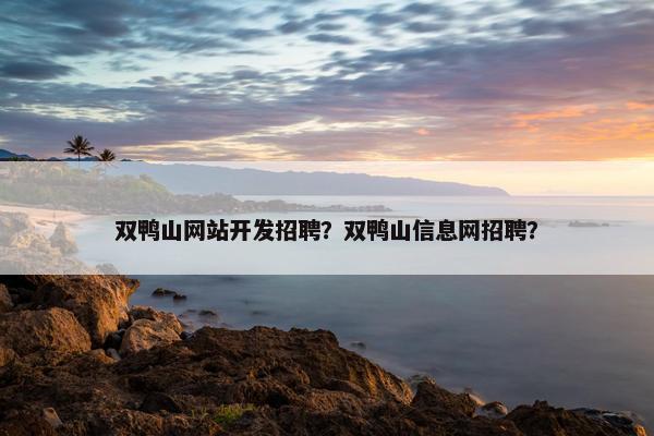 双鸭山网站开发招聘？双鸭山信息网招聘？