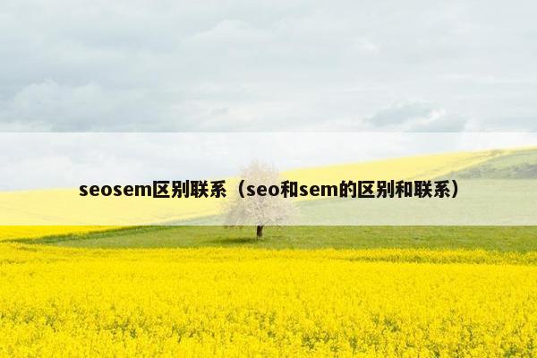 seosem区别联系（seo和sem的区别和联系）