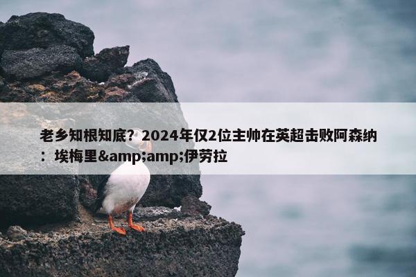 老乡知根知底？2024年仅2位主帅在英超击败阿森纳：埃梅里&amp;伊劳拉