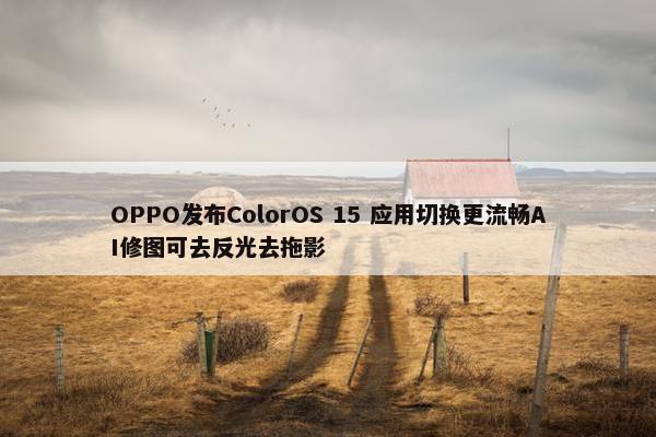 OPPO发布ColorOS 15 应用切换更流畅AI修图可去反光去拖影