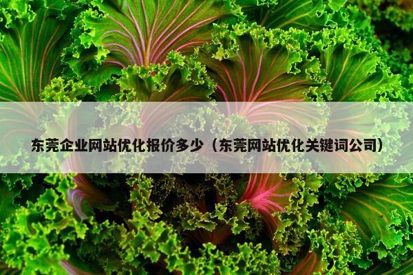 东莞企业网站优化报价多少（东莞网站优化关键词公司）