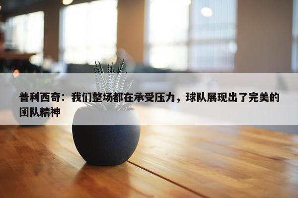 普利西奇：我们整场都在承受压力，球队展现出了完美的团队精神