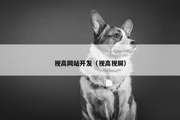 视高网站开发（视高视屏）