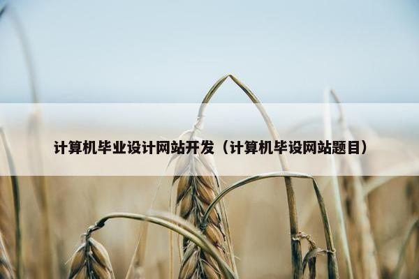 计算机毕业设计网站开发（计算机毕设网站题目）