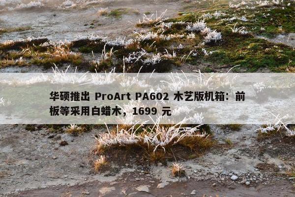 华硕推出 ProArt PA602 木艺版机箱：前板等采用白蜡木，1699 元