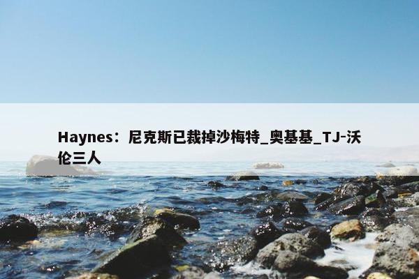 Haynes：尼克斯已裁掉沙梅特_奥基基_TJ-沃伦三人