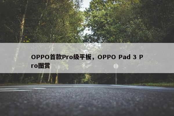 OPPO首款Pro级平板，OPPO Pad 3 Pro图赏