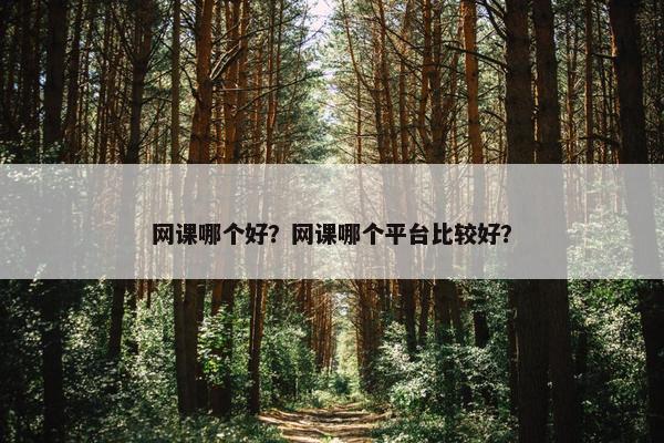 网课哪个好？网课哪个平台比较好？