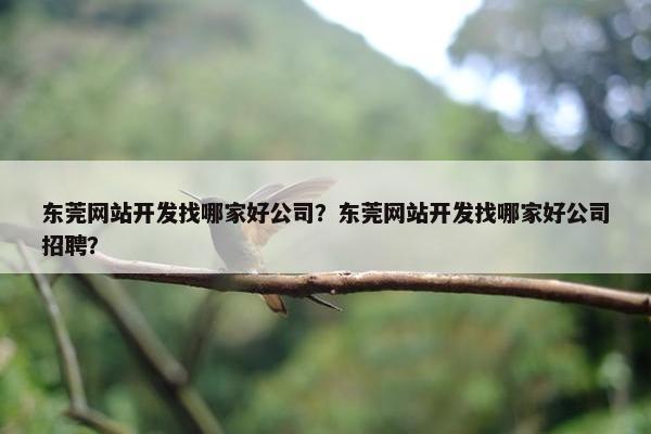 东莞网站开发找哪家好公司？东莞网站开发找哪家好公司招聘？